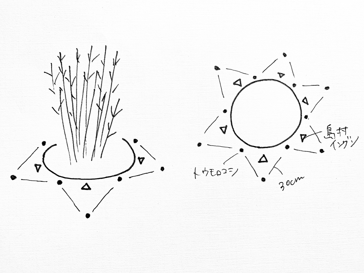 オアシスの間の種まきアイディアスケッチ